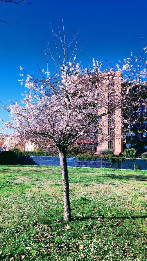 Bologna Vista Parco Apartment 2 Letti Matrimoniali Dış mekan fotoğraf